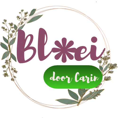 Bloei door Carin | Burn-out & stressbegeleiding met Human Design